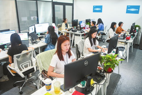 ?？诩铀贁祿缇硺I務發展，打造數字高地與軟件開發新引擎